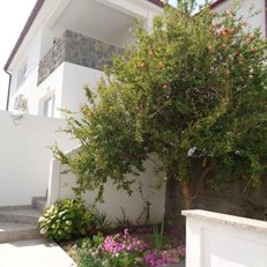 Apartments In Lopar - Insel Rab 40853 Exterior foto